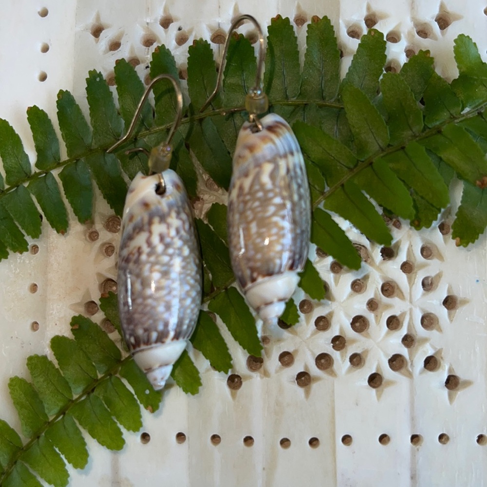 Whole shell earrings